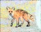 thunmbnail of fox painting